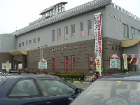 ƻ�α���ë����