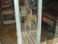 �ѥ�����